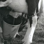 Pieter Tolsma.3